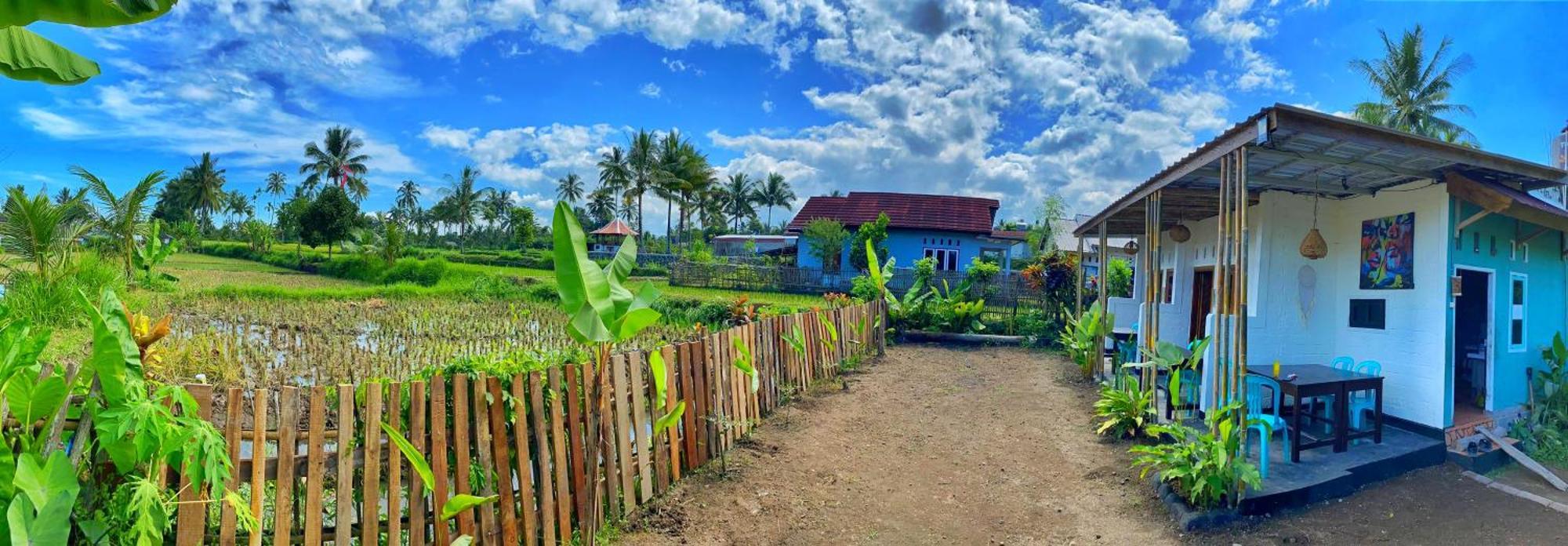 Alfarizi Homestay Tetebatu Ngoại thất bức ảnh