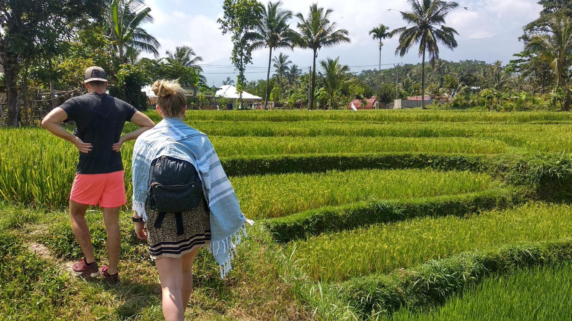 Alfarizi Homestay Tetebatu Ngoại thất bức ảnh