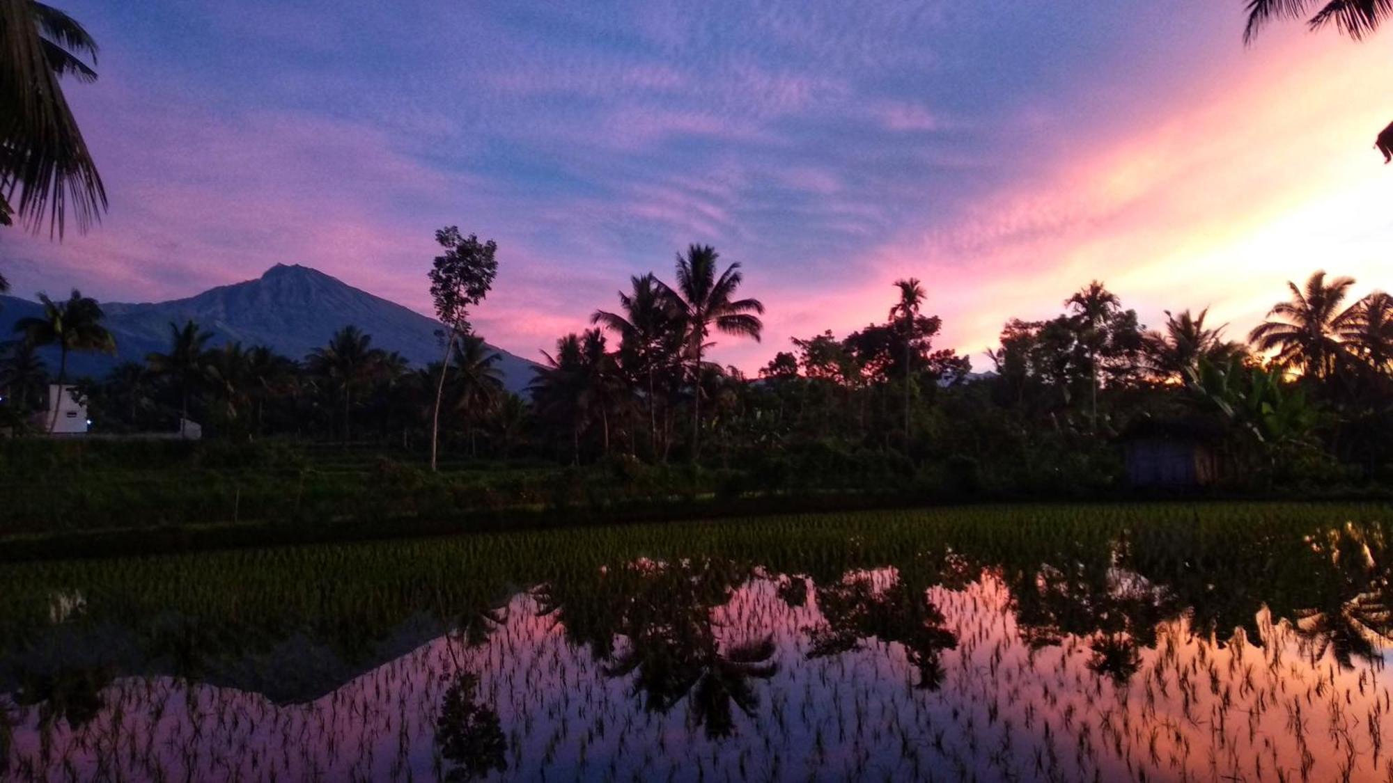 Alfarizi Homestay Tetebatu Ngoại thất bức ảnh