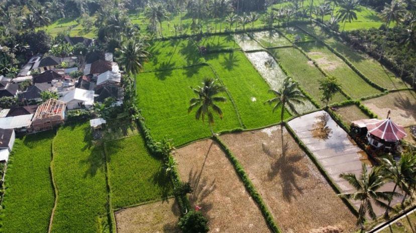 Alfarizi Homestay Tetebatu Ngoại thất bức ảnh